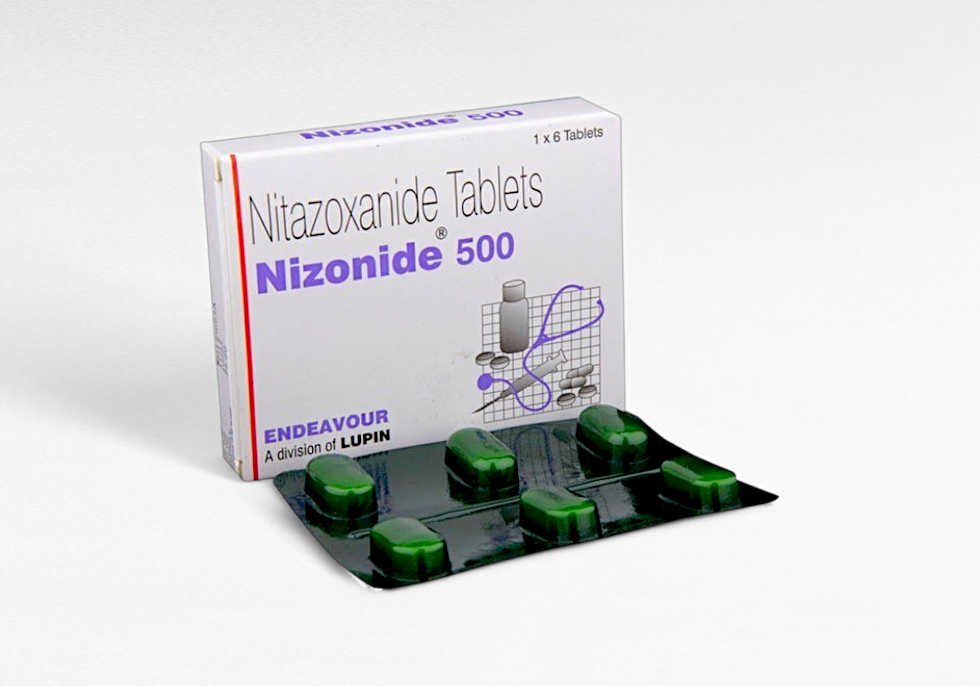 니조나이드 500mg