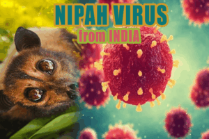 니파바이러스 감염