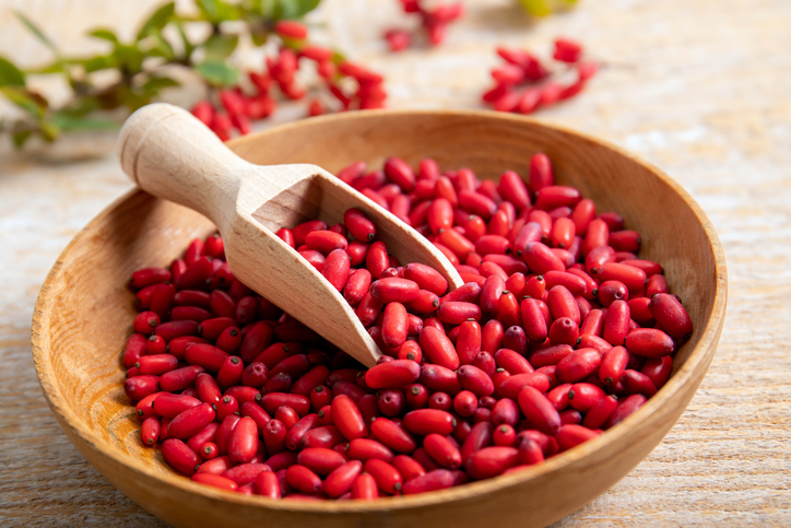 베르베린(berberine)