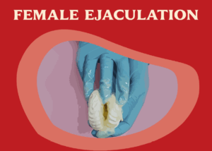 여성 사정의 핵심은 스킨샘