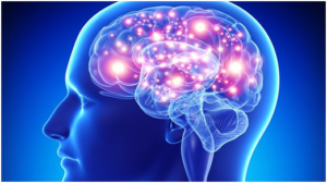 피라세탐(Piracetam) 효능